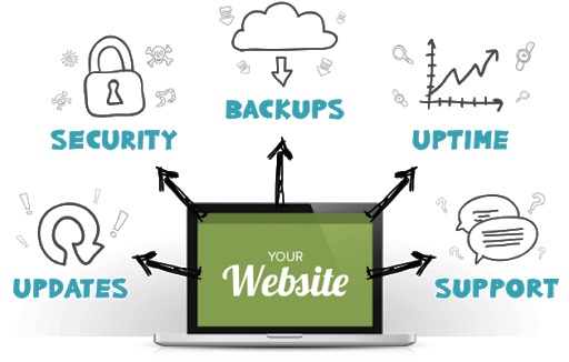 Dịch vụ chăm sóc website